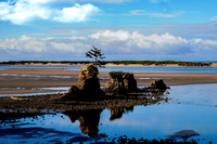 DSCF1493_pe