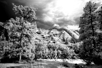 DSCF7702