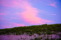 DSCF4486