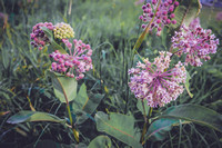 DSCF4380